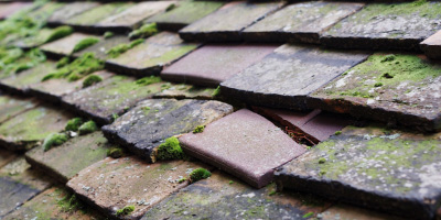 Lampeter roof repair costs